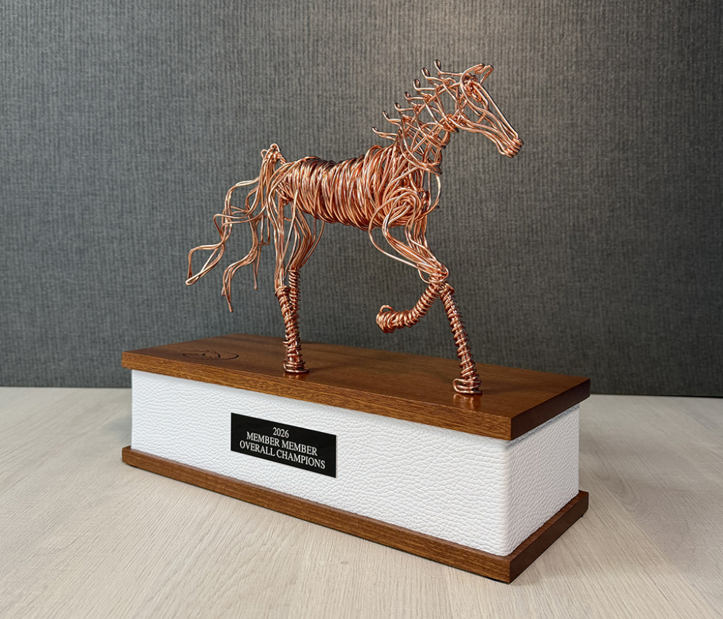 Twisted_Sculpture_MEGA-1